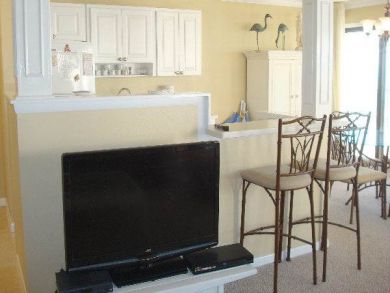 Flat Screen TV in Living Room