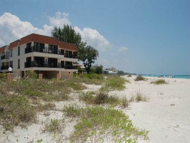 View from Beach