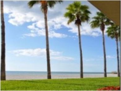 Beach View