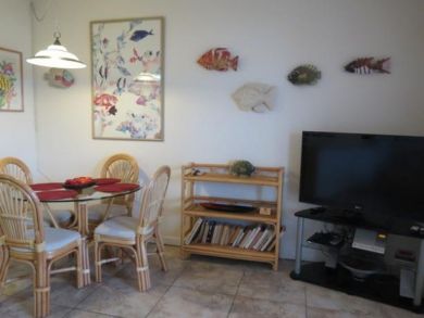 Flat Screen TV in Living Area