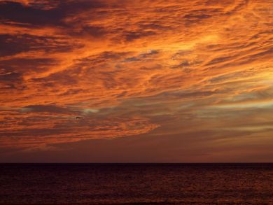 Stunning Sunsets