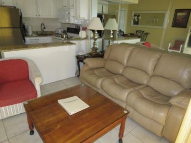 Open Kitchen & Living Area Open Kitchen & Living Area
