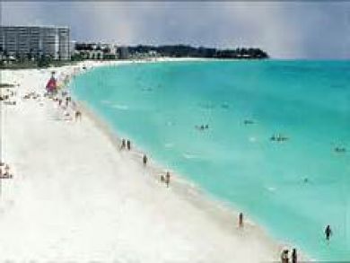 Siesta Key Condo 887663