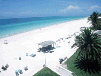Siesta Key Condo Rental on Beach