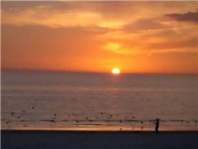Amazing Sunset