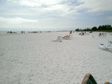 Siesta Key Value Rental Property with One Bedroom Pool