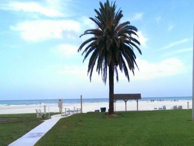 Siesta Key Value Rental Property with One Bedroom Pool