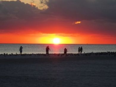 Siesta Key One Bedroom Vacation Condo with Pool