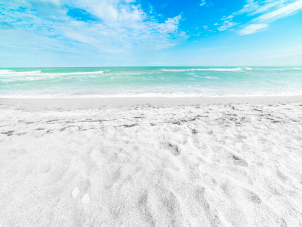 One Bedroom One Bathroom Value Accommodation Siesta Key