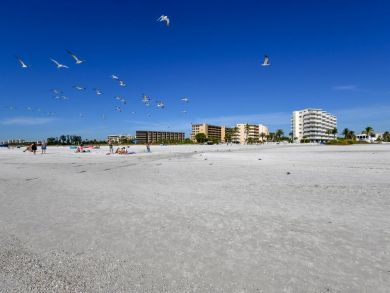 Siesta Key Studio with 2 Beds Sleeps 2 Guests Beach Access