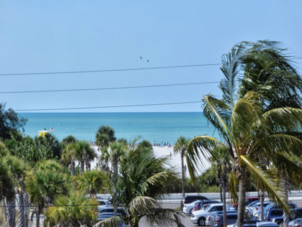 The Beach is Right Across the Street Great Siesta Key Condo