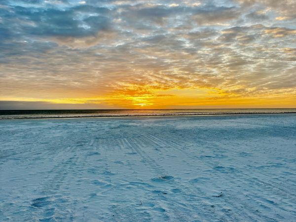 Siesta Key Beachfront Bliss - Steps from the Sand