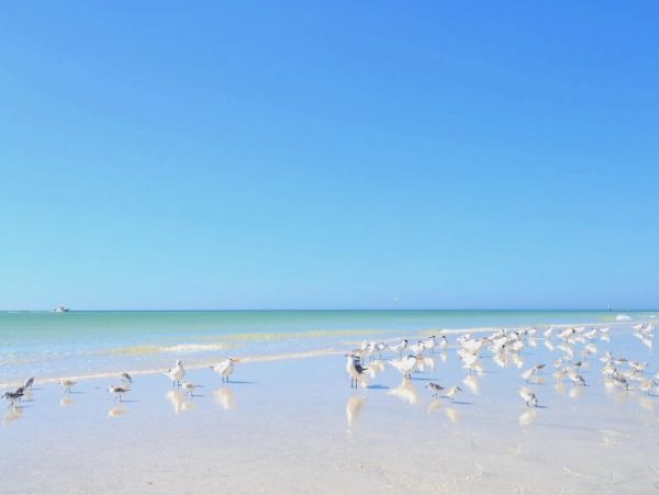 Siesta Key One Bedroom Cozy Vacation Rental