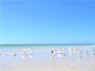 Siesta Key Vacation Studio Sleeps 2 - Short Walk to Beach