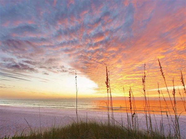Siesta Key Luxury Vacation Rental  Beach Studio Near Siesta Key Village