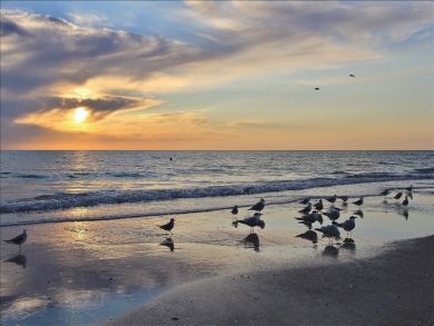 Indian Shores Beach Vacation Accommodation Indian Shores Beach Vacation Accommodation