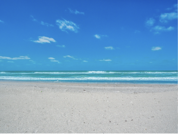 NEW ARRIVAL STEPS ONTO SAND ANNA MARIA CLUB Two POOLS ONE ON BEACH!