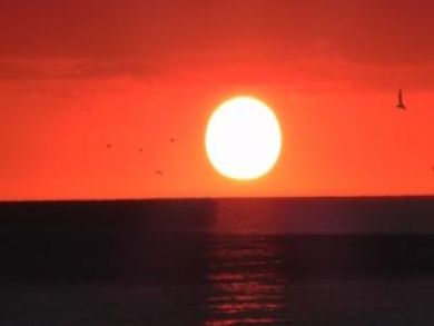 Siesta Key Value Rental Accommodation
