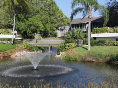 Tropical Pond