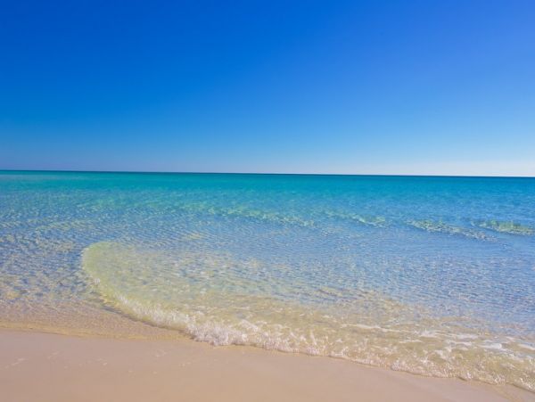 Rent One or Both Units at Siesta Key Both Units Sleeps 12