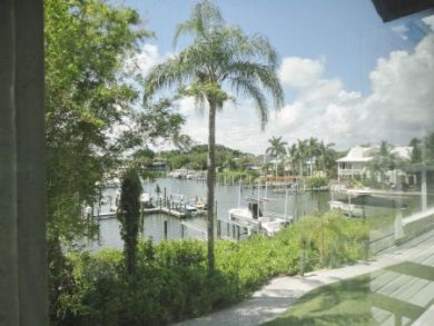 View from Balcony