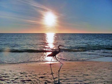 Sandy Beach