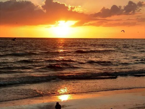 Lovely Bayside 2/2 Condo awaits your arrival!