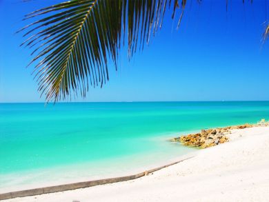 Two Bedroom Siesta Key Vacation Rental