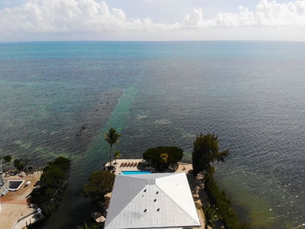 Three Bedroom Vacation Home on Water in Islamorada Sleeps 6