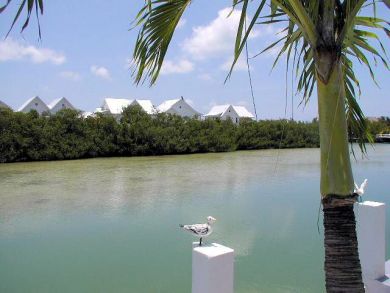 The Florida Keys Rentals Value Priced Accommodation