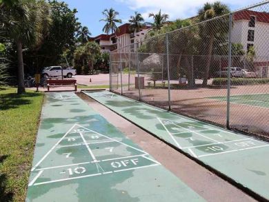 Shuffleboard