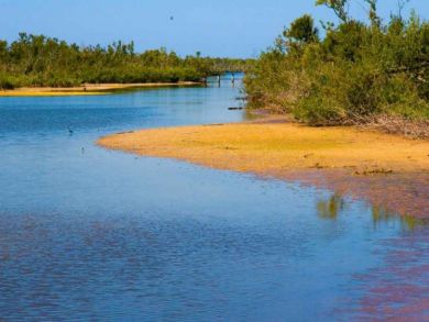 Captiva Island North Captiva Condo 888824