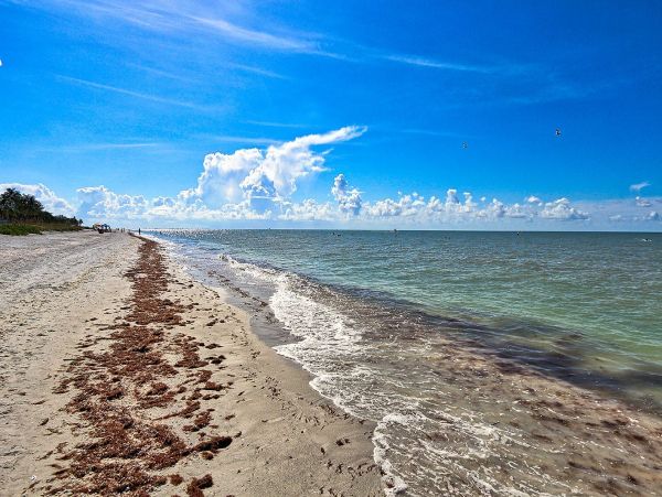 Lovely Condo in Sanibel, Florida!