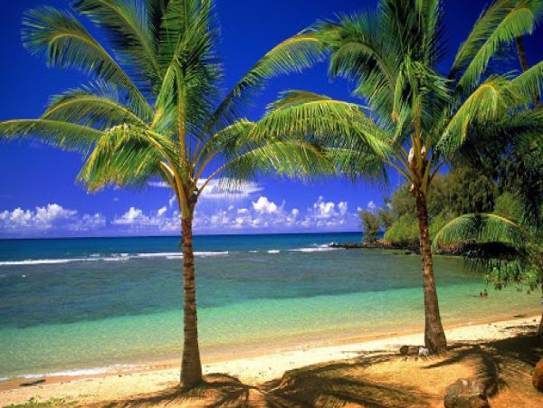 Sanibel Luxury Vacation Rental Condo Two Bedrooms