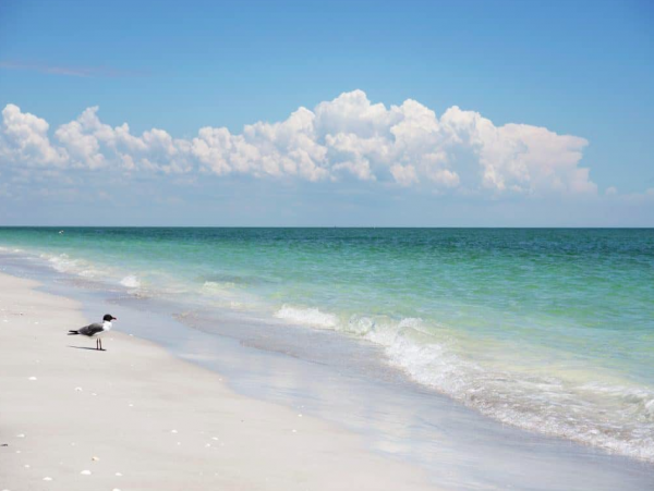 Charming Sanibel Retreat Steps from the Beach