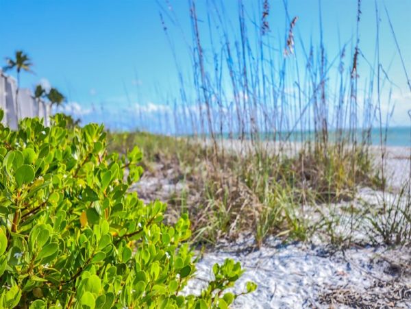 Sanibel One Bedroom Vacation Condo Sleeps 5