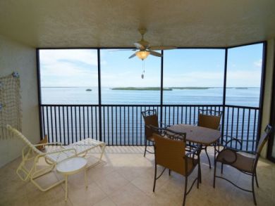 View from Balcony