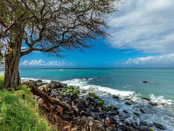Maui Oceanfront Vacation Rental | Luxury Kahana Penthouse Condo