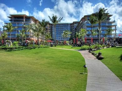 Luxury One Bedroom Kaanapali Rental