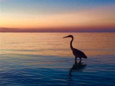 Sunrise at the Beach