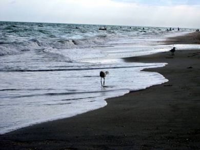 View of the Beach