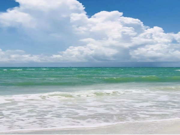 Sanibel Island Getaway: Stylish Condo Near Shelling Beaches