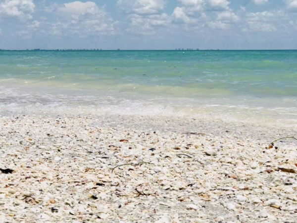 Sanibel Island Getaway: Stylish Condo Near Shelling Beaches