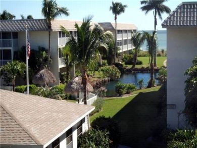 View from Lanai