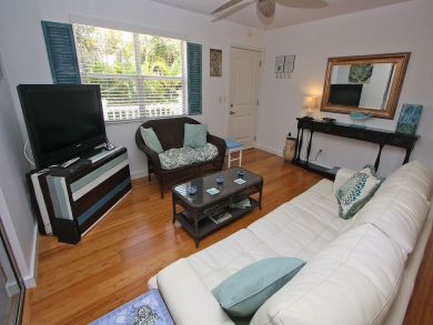 Flat Screen TV in Living Room