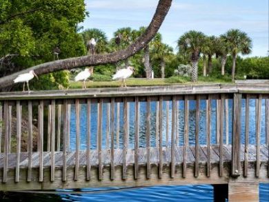 Just Lovely Two Bedroom Vacation Condo in Captiva Florida