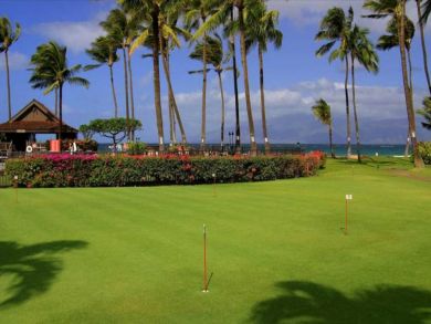 Lahaina Vacation Condo with Pacific Views North Kaanapali