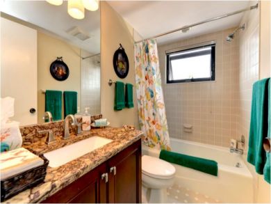 Bathroom with Shower in Tub