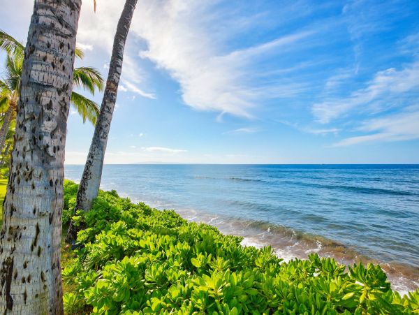 Beautiful Beach Rentals Maui -Full Ocean views