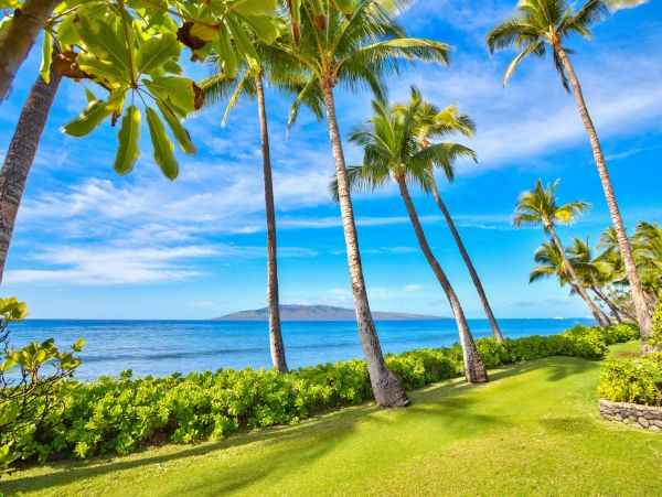 Beautiful Beach Rentals Maui -Full Ocean views